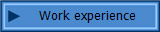 Work experience