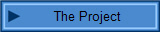 The Project