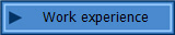 Work experience